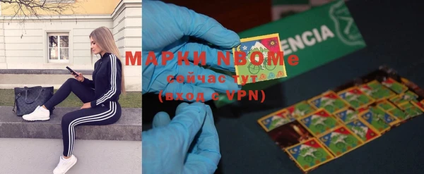 шишки Богородск