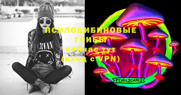 шишки Богородск