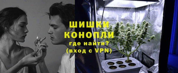 шишки Богородск