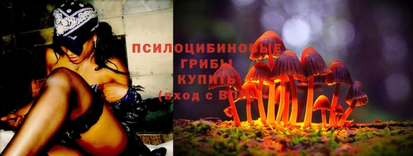 скорость Богородицк
