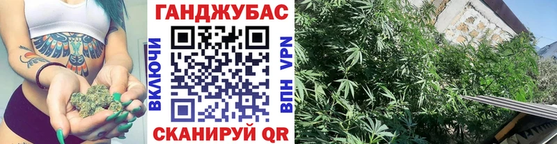 Конопля THC 21%  Дмитриев 